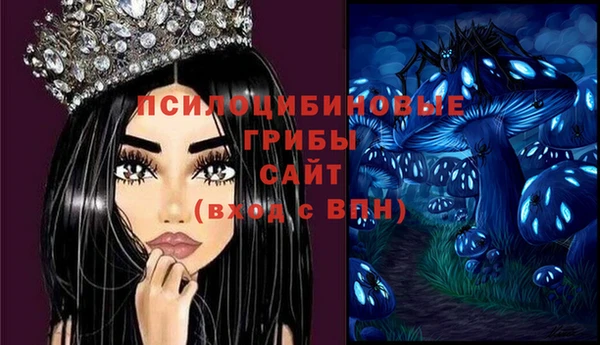 прущая мука Ладушкин