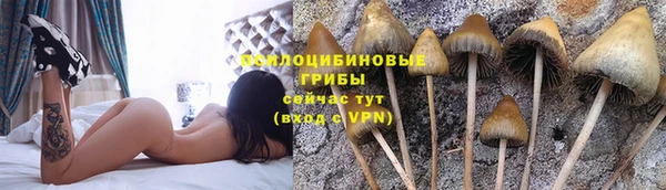 прущая мука Ладушкин