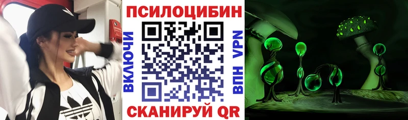 Псилоцибиновые грибы мицелий  магазин продажи наркотиков  Усть-Кут 